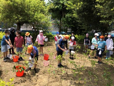 圖8. 讓學生走出教室，打破教室藩籬，透過種植、澆水照顧，仔細用五感體驗，激發對自然生態保育的熱情及行動力。（新竹林管處提供）